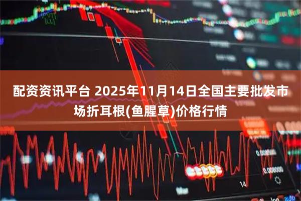 配资资讯平台 2025年11月14日全国主要批发市场折耳根(鱼腥草)价格行情