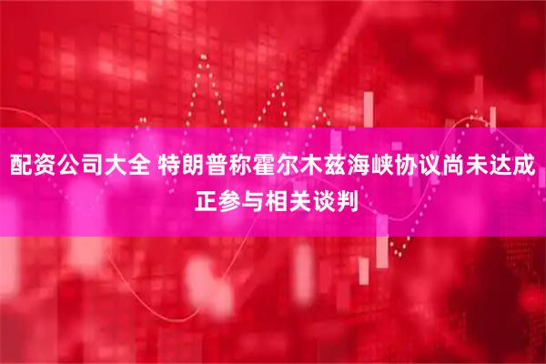 配资公司大全 特朗普称霍尔木兹海峡协议尚未达成 正参与相关谈判